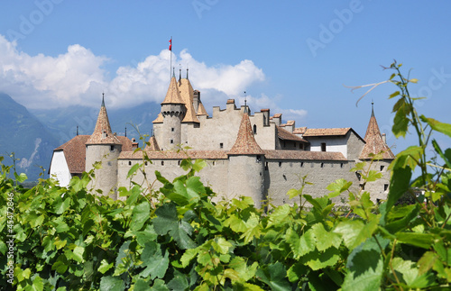 Chateau d'Aigle, Switzerland