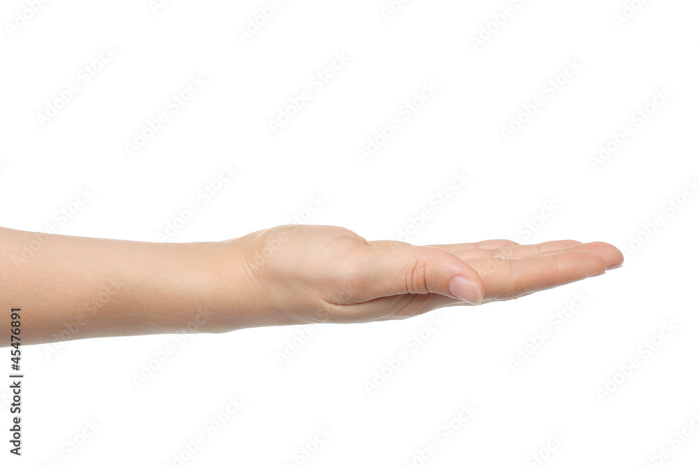Open woman hand on white background Open woman hand on white background