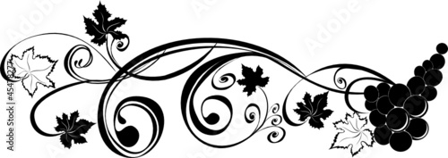 Grapevine. Vector wine design elements.