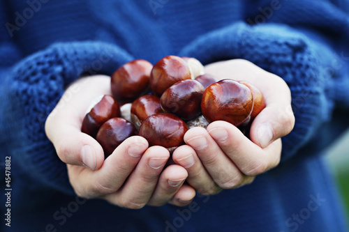 little hands with chestnuts