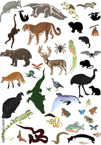 set of different animal and insects on white