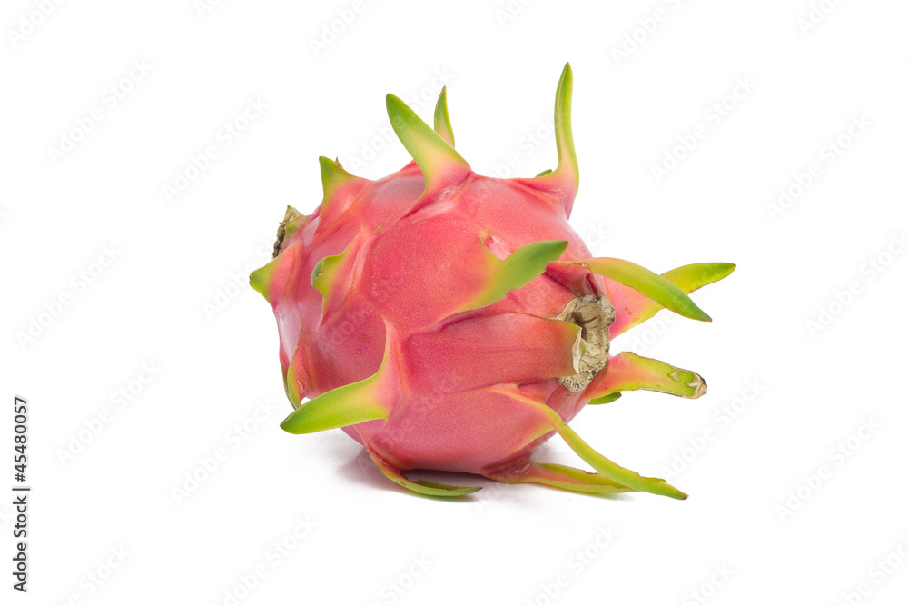 dragon fruit isolated on white background dragon fruit isolated on white background