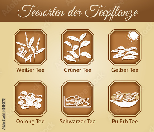 Teesorten der Teepflanze Camellia sinensis