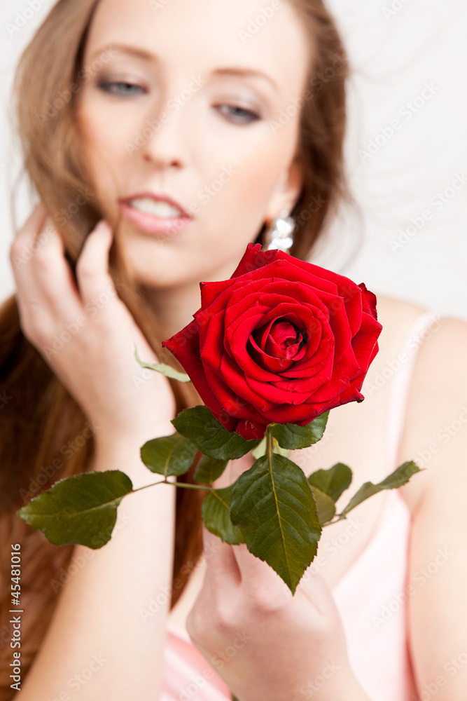 rose rose