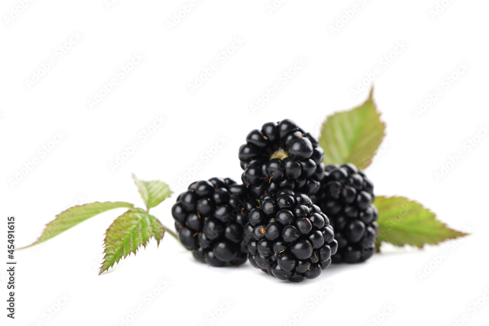Blackberries Blackberries