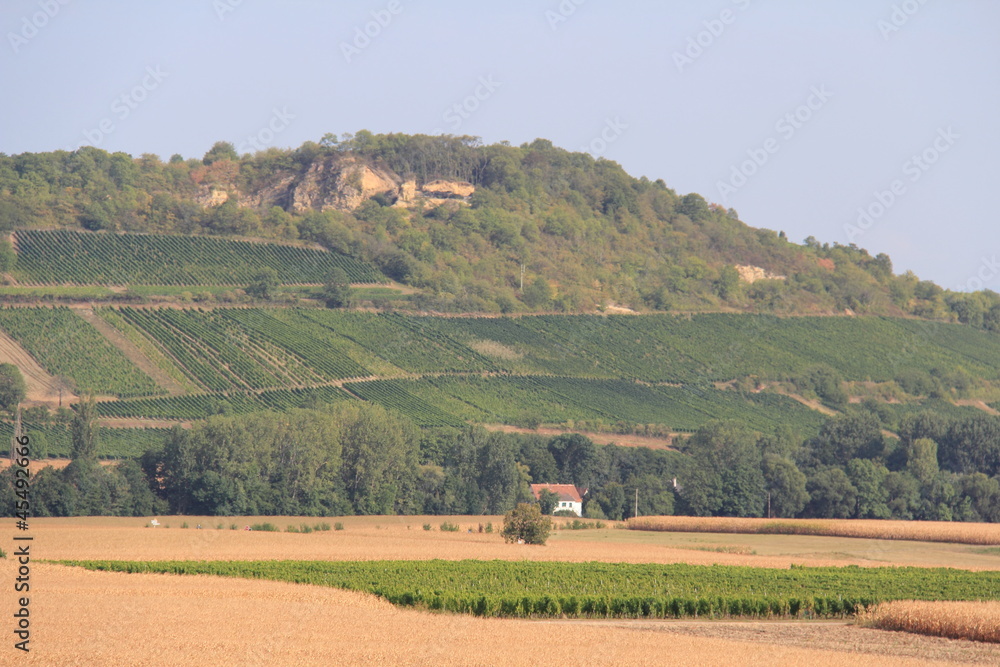 Fototapeta premium Village Alsacien sur la route du vin.