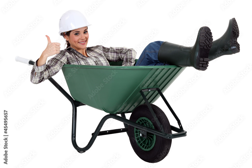 Resting in my wheelbarrow. Resting in my wheelbarrow.
