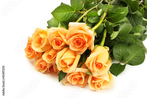 beautiful bouquet of roses isolated on white