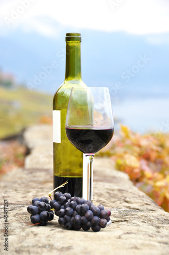 Red wine and a branch of grapes on the terrace vineyard in Lavau