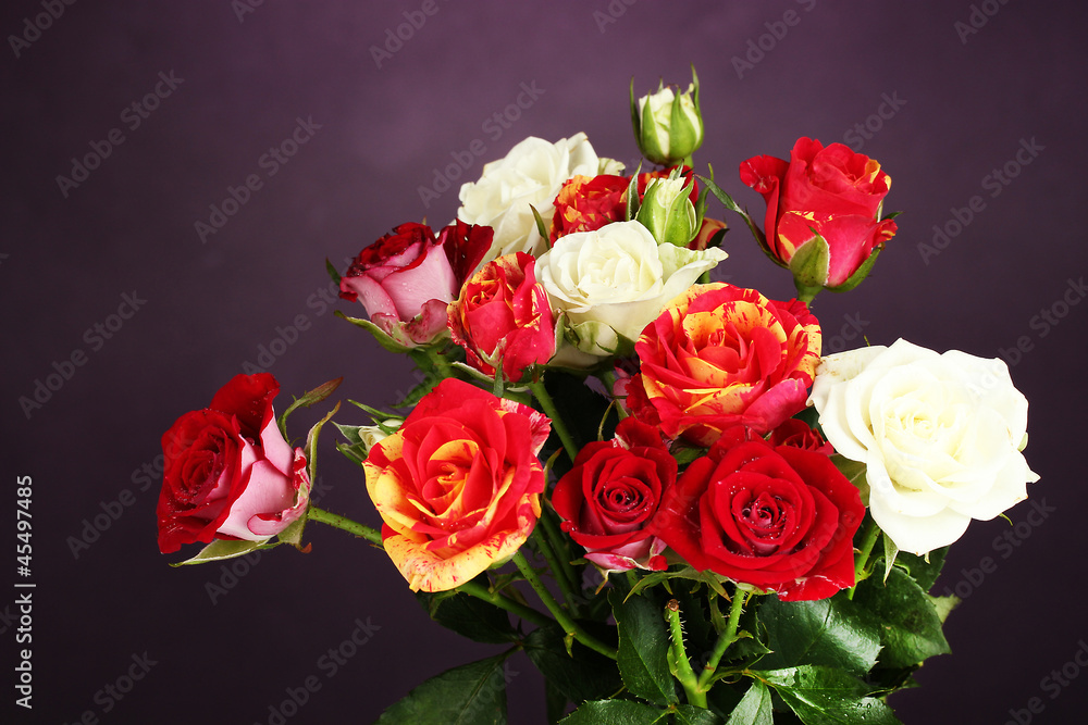 custom made wallpaper toronto digitalBouquet of beautiful roses on purple background close-up