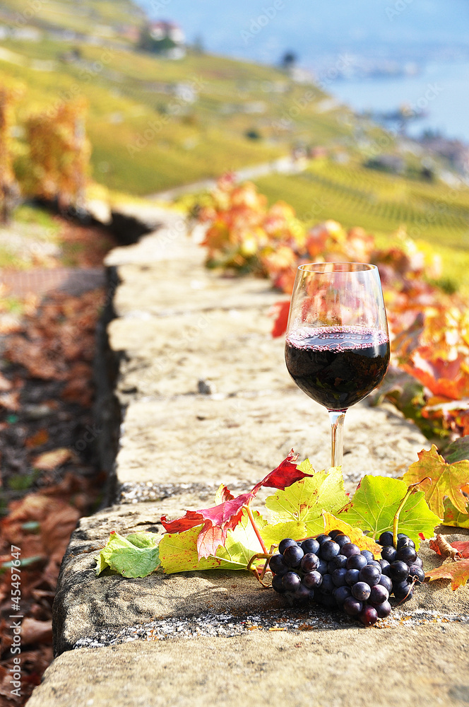 Red wine and grapes on the terrace of vineyard in Lavaux region,