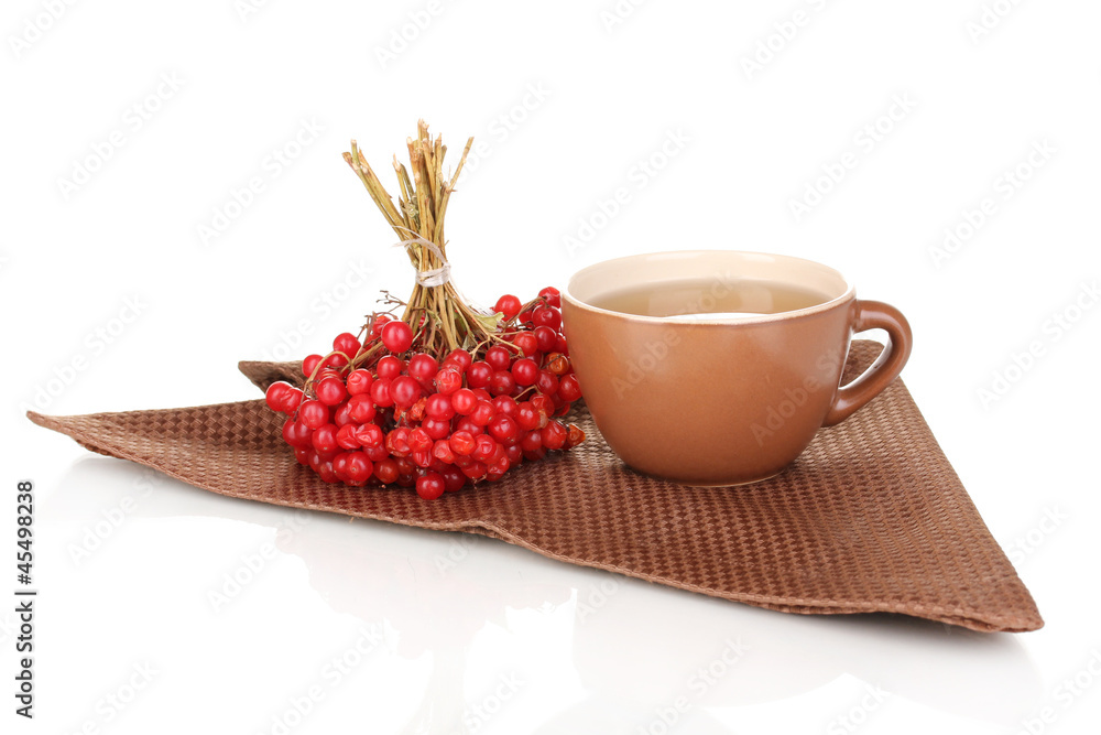 tea with red viburnum isolated on white tea with red viburnum isolated on white