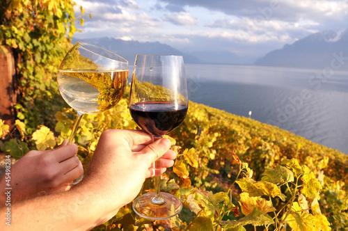 Two hands holding wineglases against vineyards in Lavaux region,