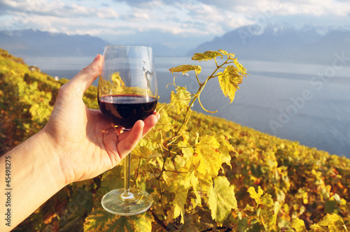 Wineglass in the hand against vineyards in Lavaux region, Switze photo