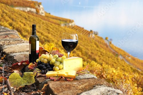 Fototapeta Naklejka Na Ścianę i Meble -  Red wine, grapes and chesse on the terrace vineyard in Lavaux re