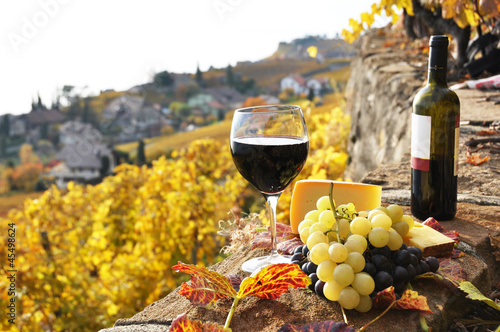Fototapeta Naklejka Na Ścianę i Meble -  Red wine and grapes on the terrace of vineyard in Lavaux region,