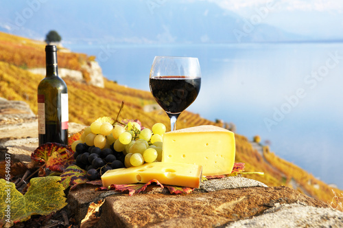 Red wine, grapes and cheese on the terrace of vineyard in Lavaux