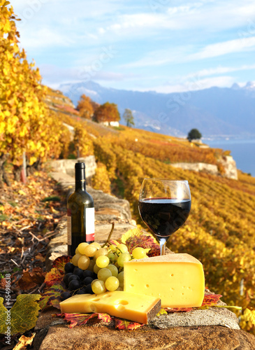 Fototapeta Naklejka Na Ścianę i Meble -  Red wine, grapes and chesse on the terrace vineyard in Lavaux re