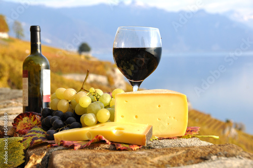 Red wine, grapes and cheese on the terrace of vineyard in Lavaux