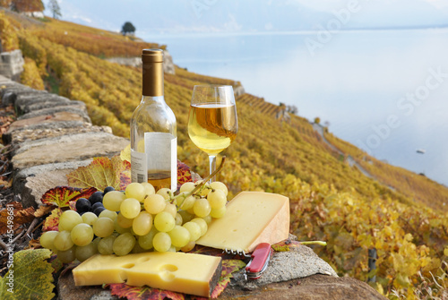 Wineglass and a bottle on the terrace vineyard in Lavaux region,