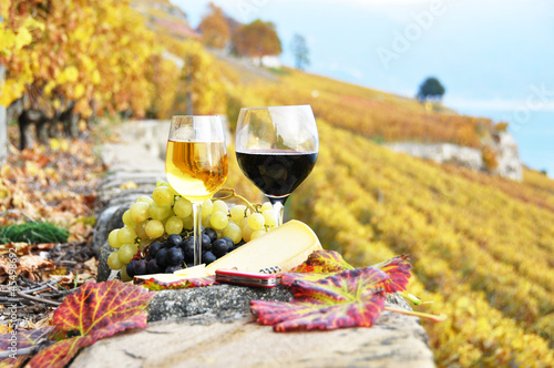 Fototapeta Naklejka Na Ścianę i Meble -  Two wineglasses, cheese and grapes on the terrace of vineyard in