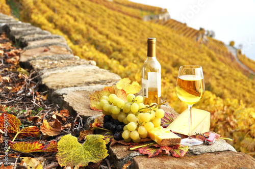 Fototapeta Naklejka Na Ścianę i Meble -  Wineglass and a bottle on the terrace vineyard in Lavaux region,