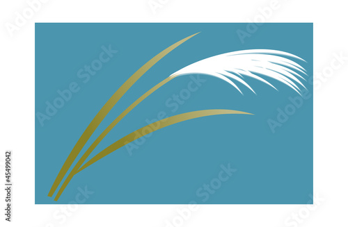 icon reed