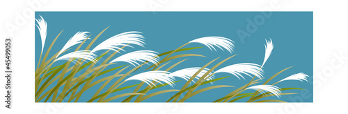 icon reed