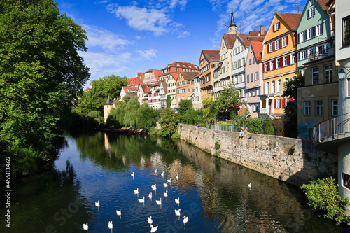 Tübingen, typische Stadtansicht mit Neckar mit Schwänen