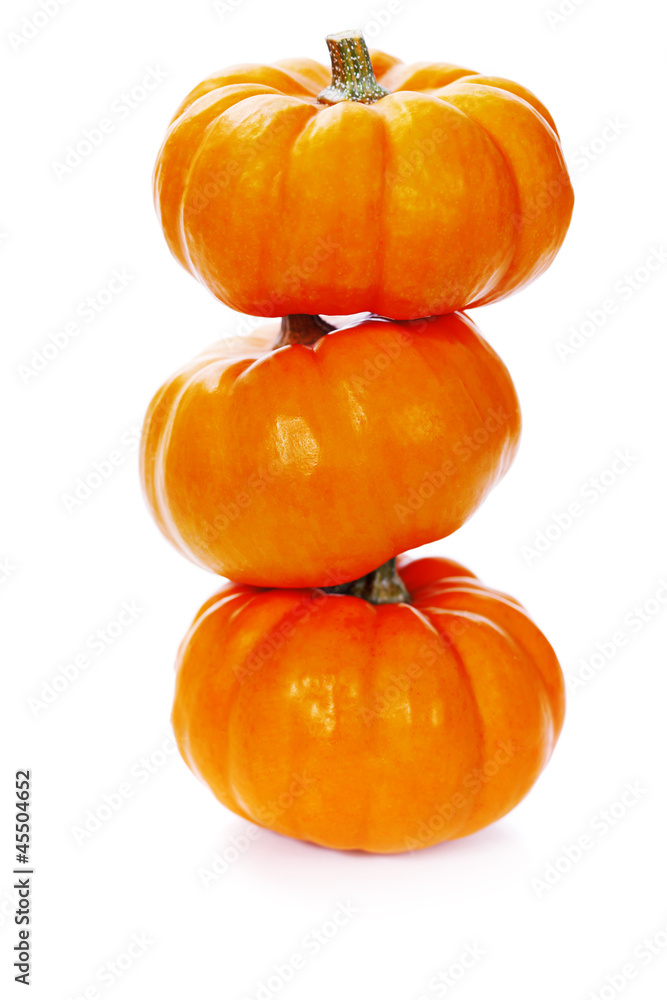 Obraz premium pumpkins