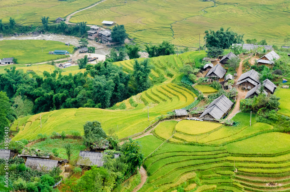 Hilltop village, Muong Hoa valley terraced fields, Sa Pa town, V
