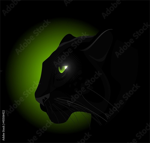 panther