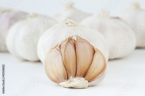 Garlic isolated on white background