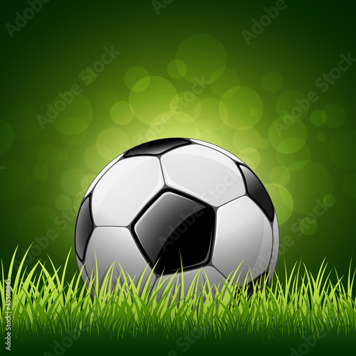 Soccer ball on grass background  vector illustration