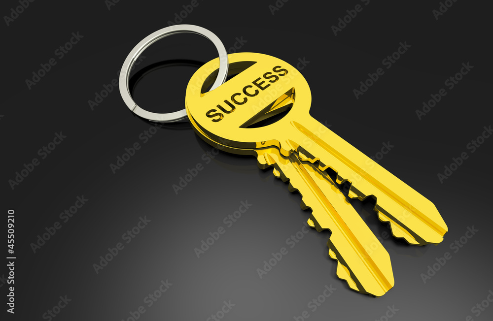 Schlüssel zum Erfolg StockIllustration Adobe Stock