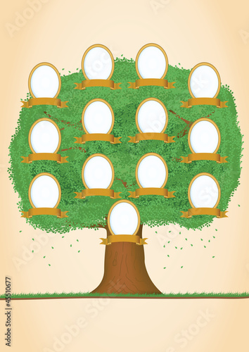 Genealogical tree. Green tree