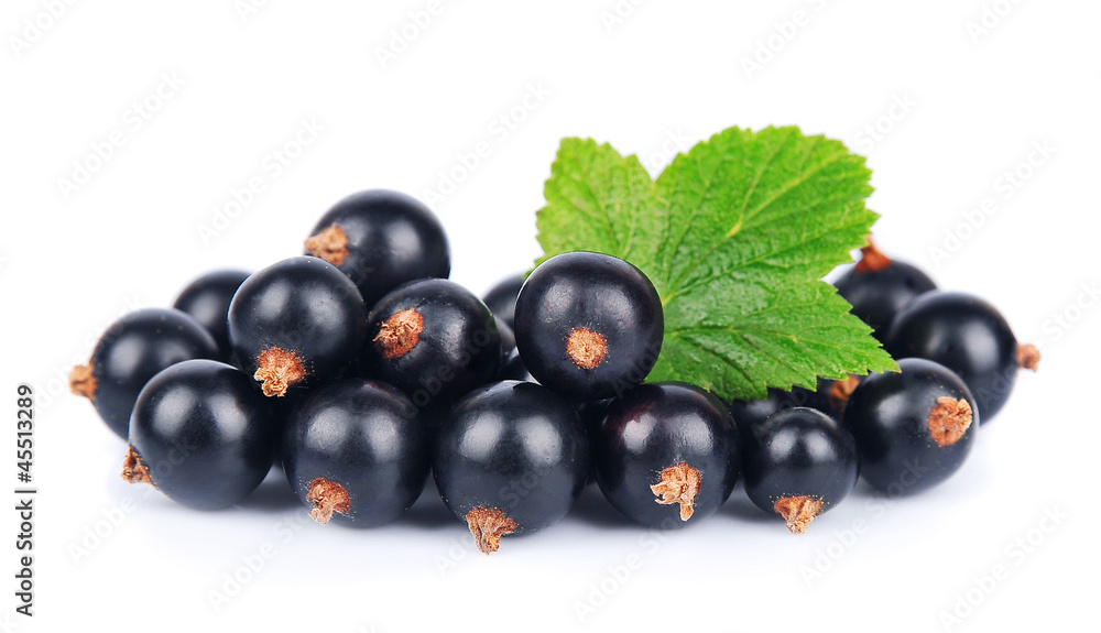 Black currant Black currant