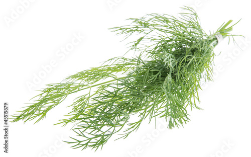 Bunch of Dill on white
