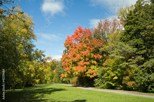 park in early fall colors