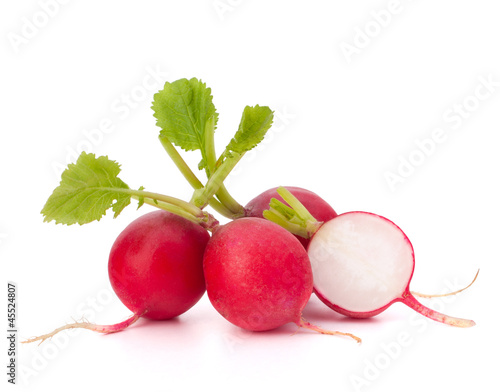 Small garden radish photo