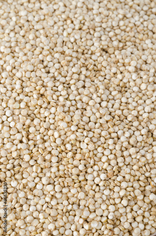 Quinoa Quinoa