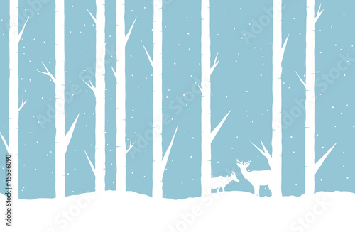 Winter Forest