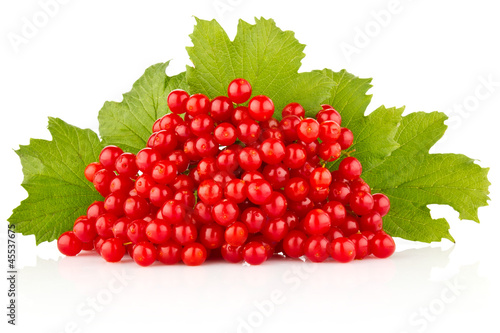 red berry with green leaves