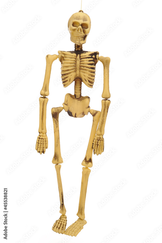 Toy Skeleton