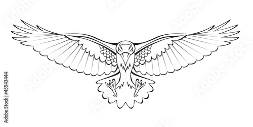 flying crow