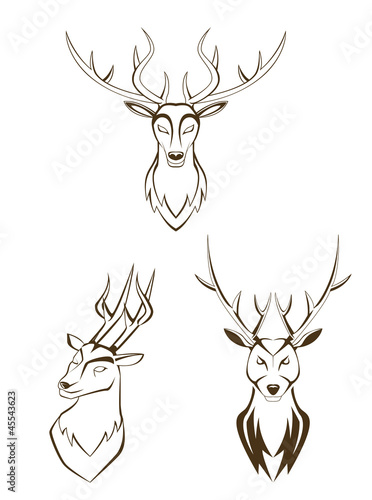 set deer head