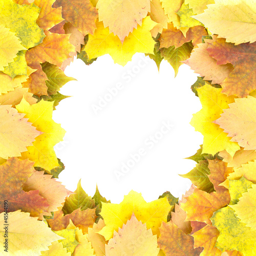 Frame of colorful autumn leaves