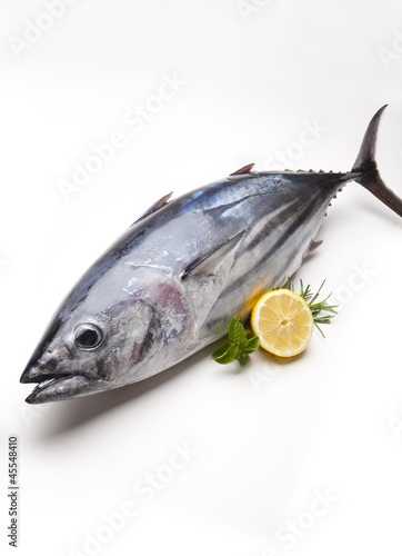 Fototapeta Tuna fish.