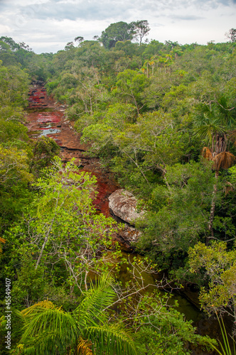 Fotografie View of Cano Cristales in Colombia