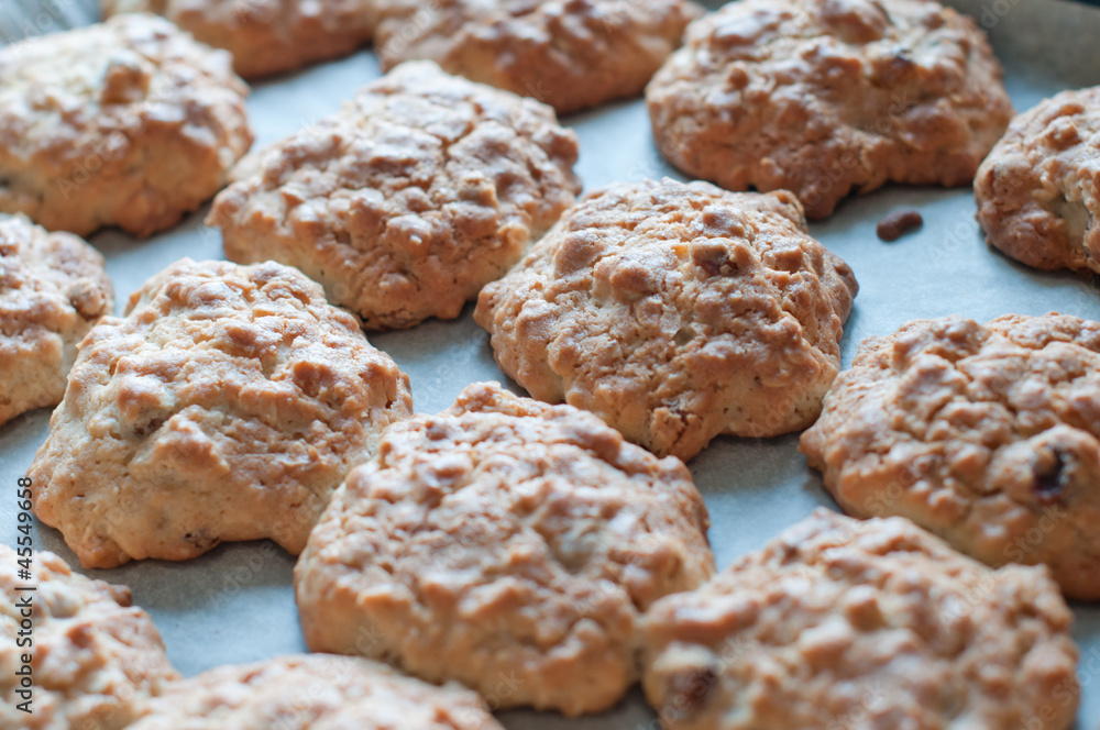 cookies on a baking tray cookies on a baking tray